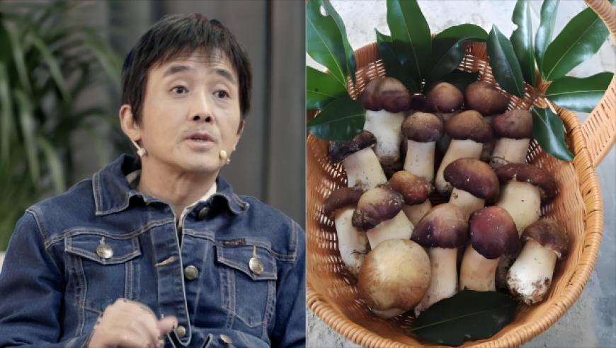 科考队员溶洞失联69小时奇迹生还,香港正版挂牌最快资料,精准解释落实及其象征意义_视频版V6.16