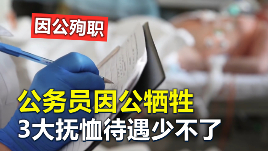 澳门六合免费资料,王者元流之子将支持改性别,精准解释落实及其象征意义_钻石版V15.17